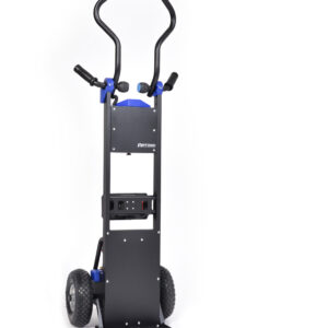 donkey light intero